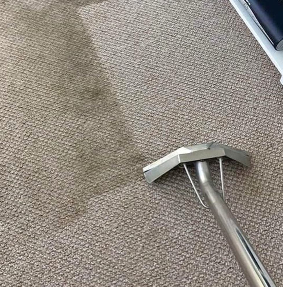 Carpet cleaning wand mid-clean showing the transition from dirty to freshly cleaned carpet