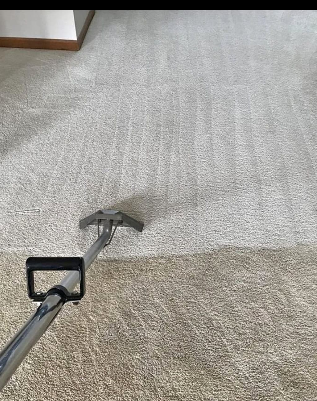 Carpet cleaning wand on carpet showing cleaned carpet next to still-dirty carpet