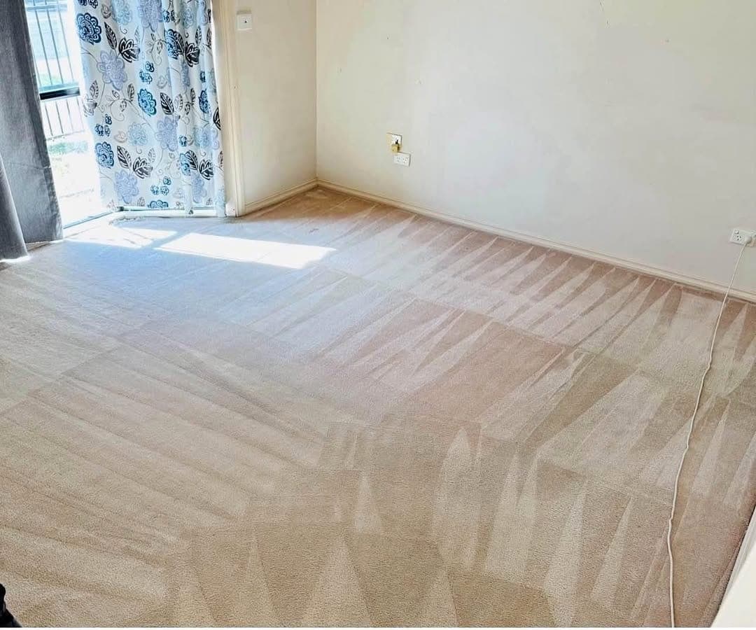 Bright living room with a freshly cleaned carpet