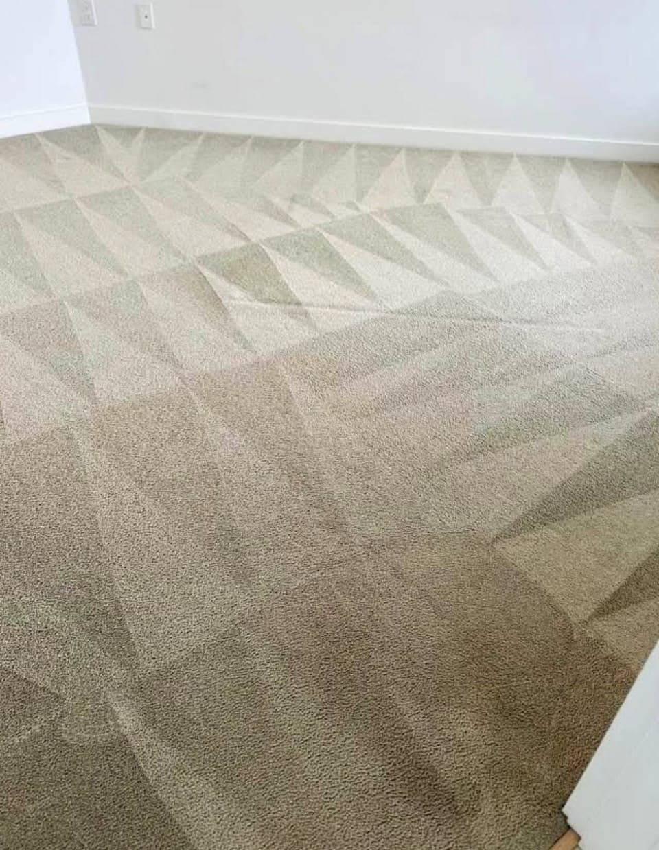 Close-up of a freshly cleaned carpet with a crisp vacuum pattern