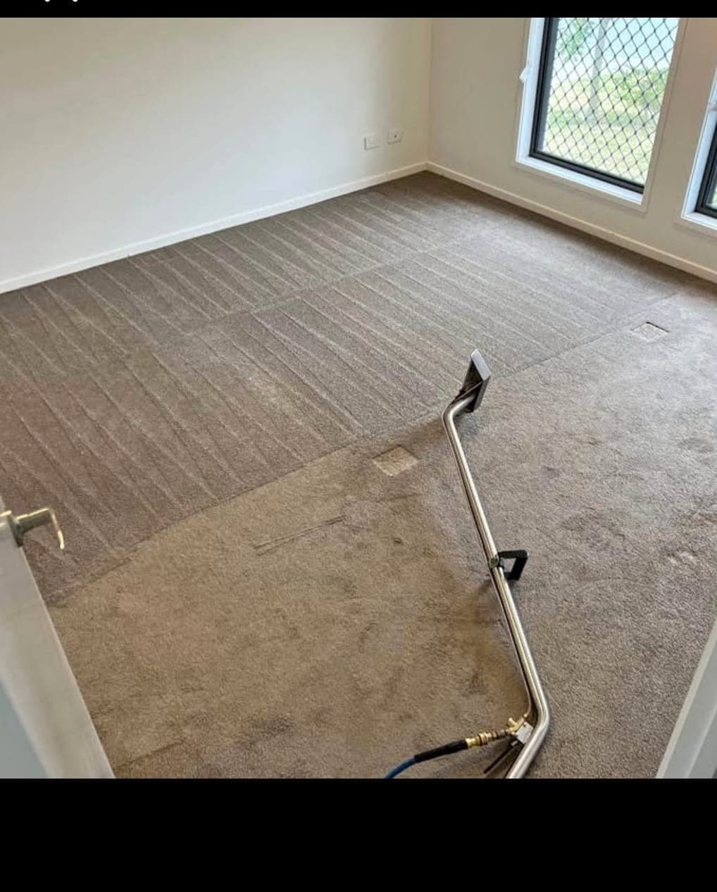 Carpet cleaning in progress showing a clear contrast between cleaned and uncleaned carpet in the same room