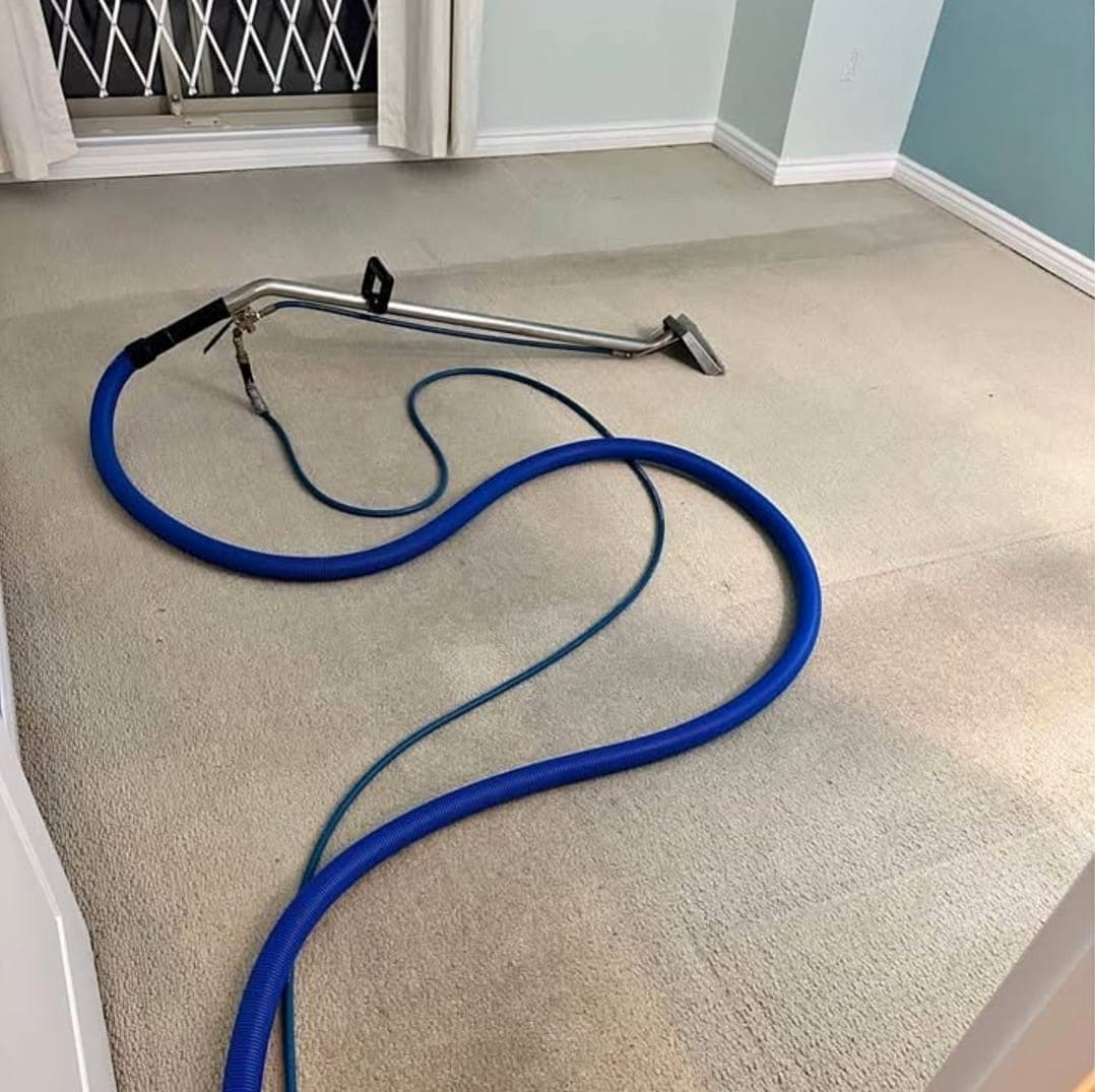 Carpet cleaning hoses and wand laid out on carpet during a cleaning job