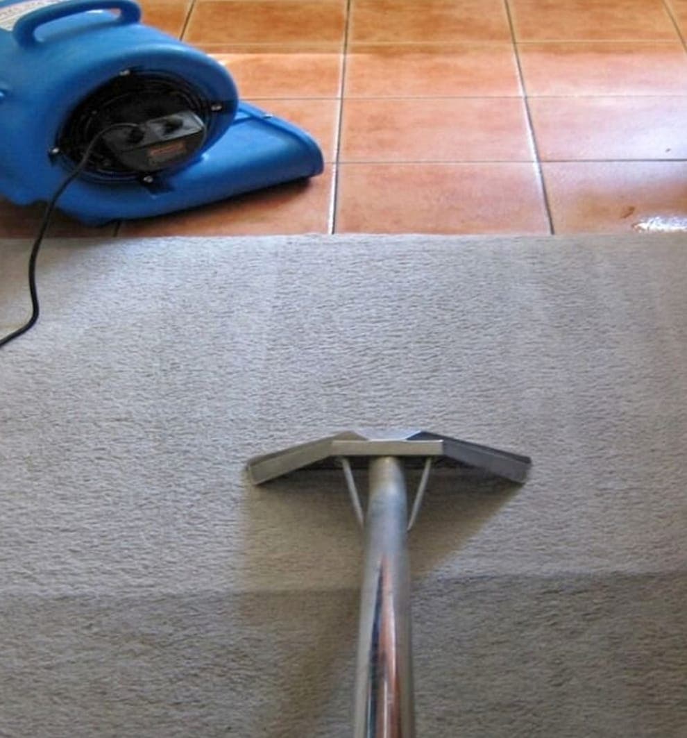 Carpet cleaning wand in use with an air mover fan drying the carpet nearby
